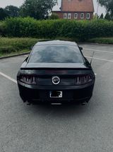 Ford Mustang GT 5.0 V8 | Schalter | US-Import |  - Ford Mustang: For