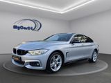 BMW 435i xDriveI M-SportI ShadowI LederI Garantie - BMW: Garantie