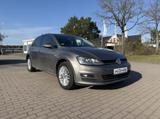 Volkswagen Golf Golf VII Lim. 1.4 T SHZ PDC Klimaauto 8x Be - Volkswagen Golf: 8