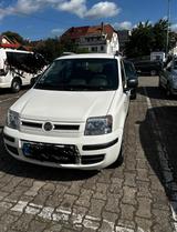Fiat Panda - Fiat Panda aus 2010: Allradantrieb
