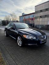Jaguar XF 2.7 Diesel V6 - Jaguar XF in Essen