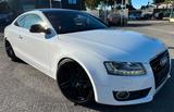 Audi A5 3.0 TDI (DPF) tiptronic S-Line Navi 8Fach Ber