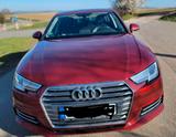 Audi A4 40 TFSI S tronic -2.0 - Audi A4: Rot