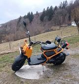 Honda Zoomer Ruckus wie neu! - HONDA ROLLER ZOOMER