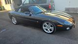 Jaguar XK8 Cabriolet - - Jaguar XK8: Cabrio