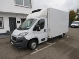 Fiat Ducato 2.3 Multijet mit Carrier Kühlung - Angebote
