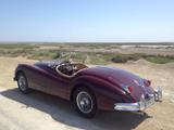 Jaguar XK 140 SE OTS C-Type Roadster | restauriert - Jaguar: X 140