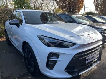 Cupra Terramar - 2
