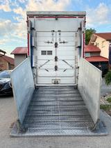 Pezzaioli Scania S500 + Pezzaioli Livestock Semi-Trailer  - Pezzaioli LKWs