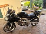 Suzuki SV 650s - SUZUKI 2005 SV650