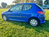 Peugeot 206 Filou 60 - Peugeot 206: 60