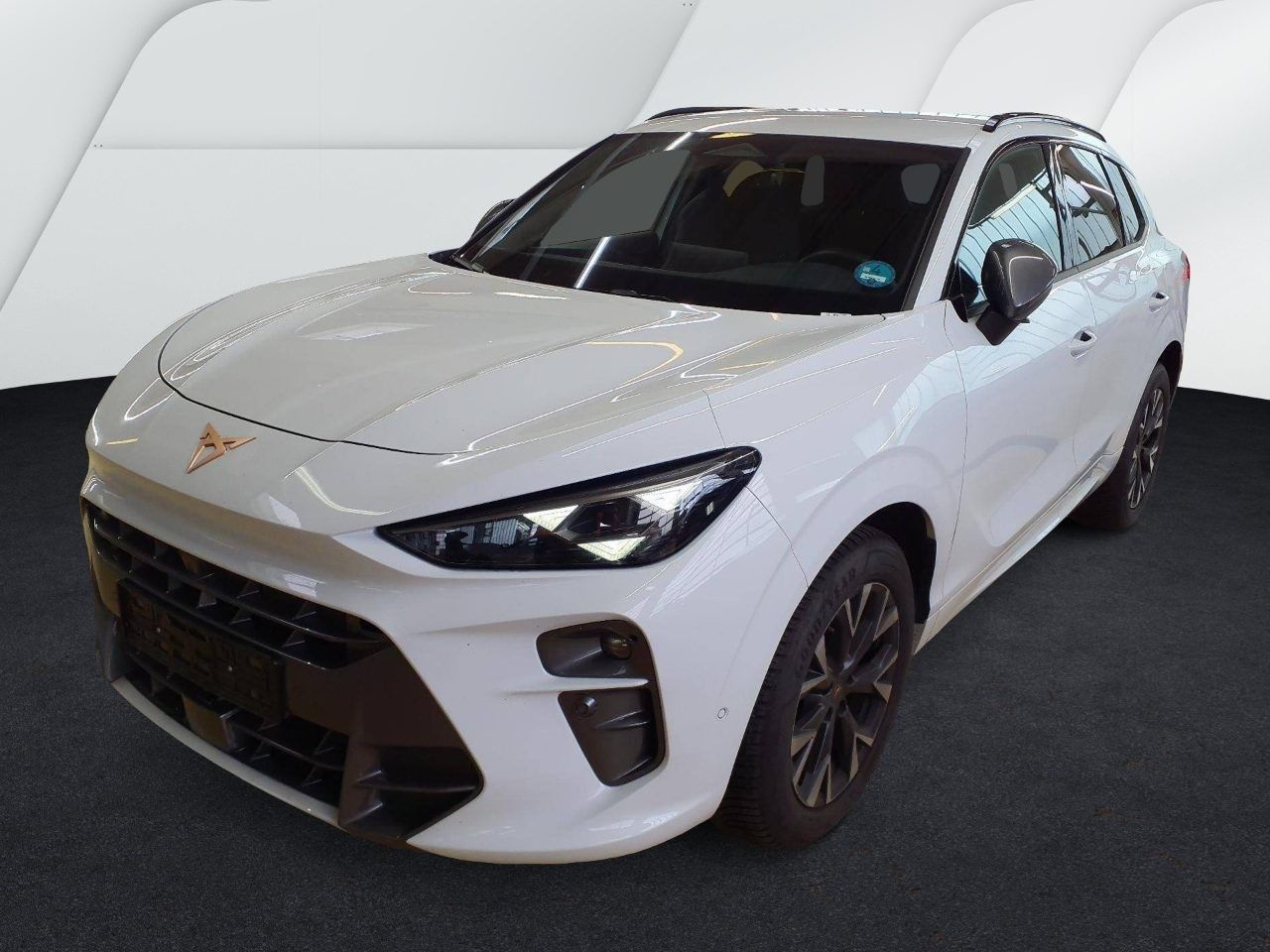 Cupra Terramar - Bild 3