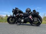 Harley-Davidson Sportster Forty Eight XL1200S Umbau - HARLEY-DAVIDSON XL 1200 FORTY EIGHT