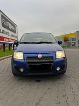 Fiat Panda 100hp - Fiat Panda: 100hp