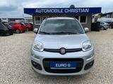 Fiat Panda Lounge Zahnriemen erneuert Klima TÜV: NEU - Fiat Panda Gebrauchtwagen