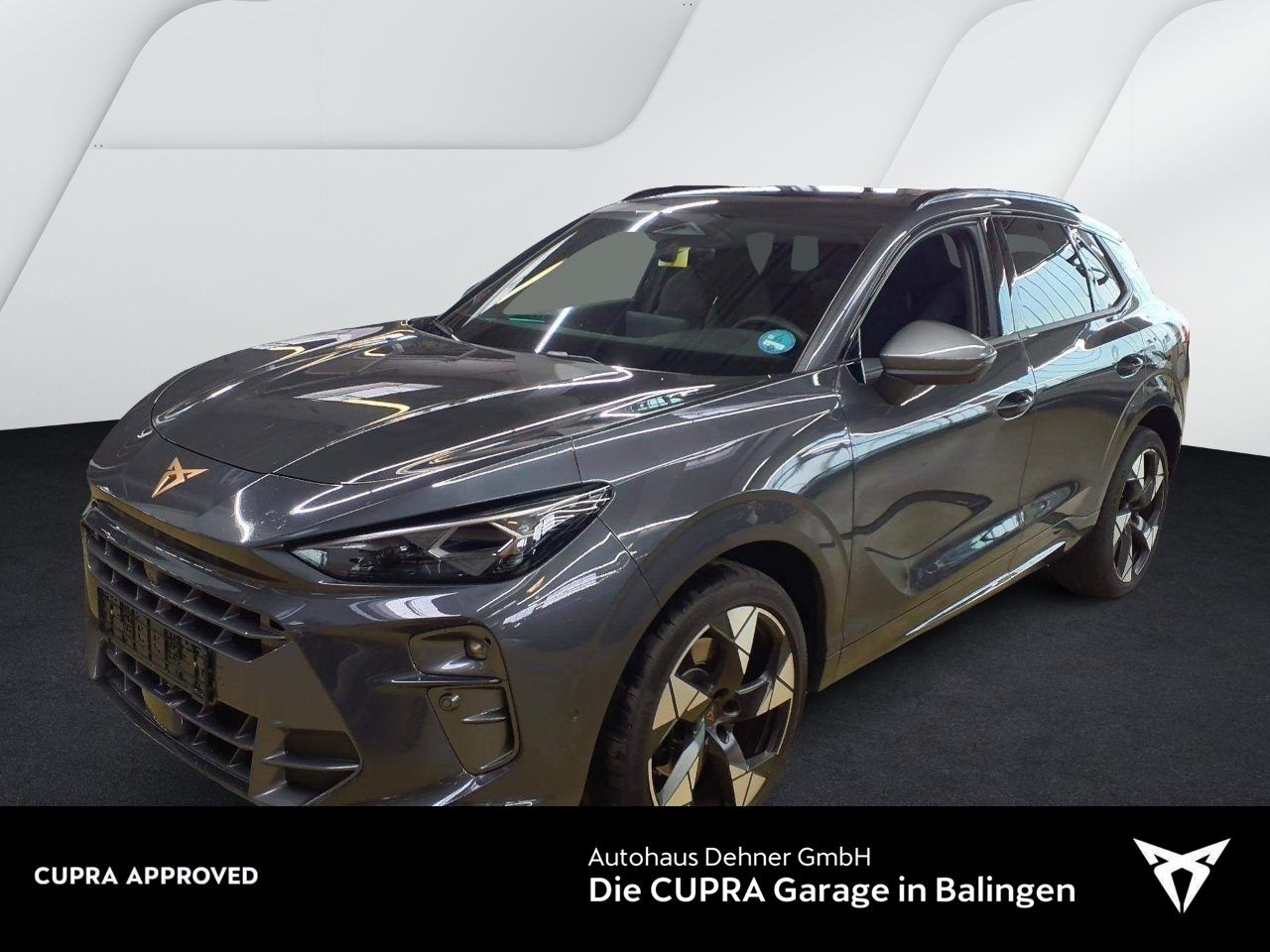 Cupra Terramar VZ 2.0 TSI DSG 4Drive PANO+AHK+SENNHEIS