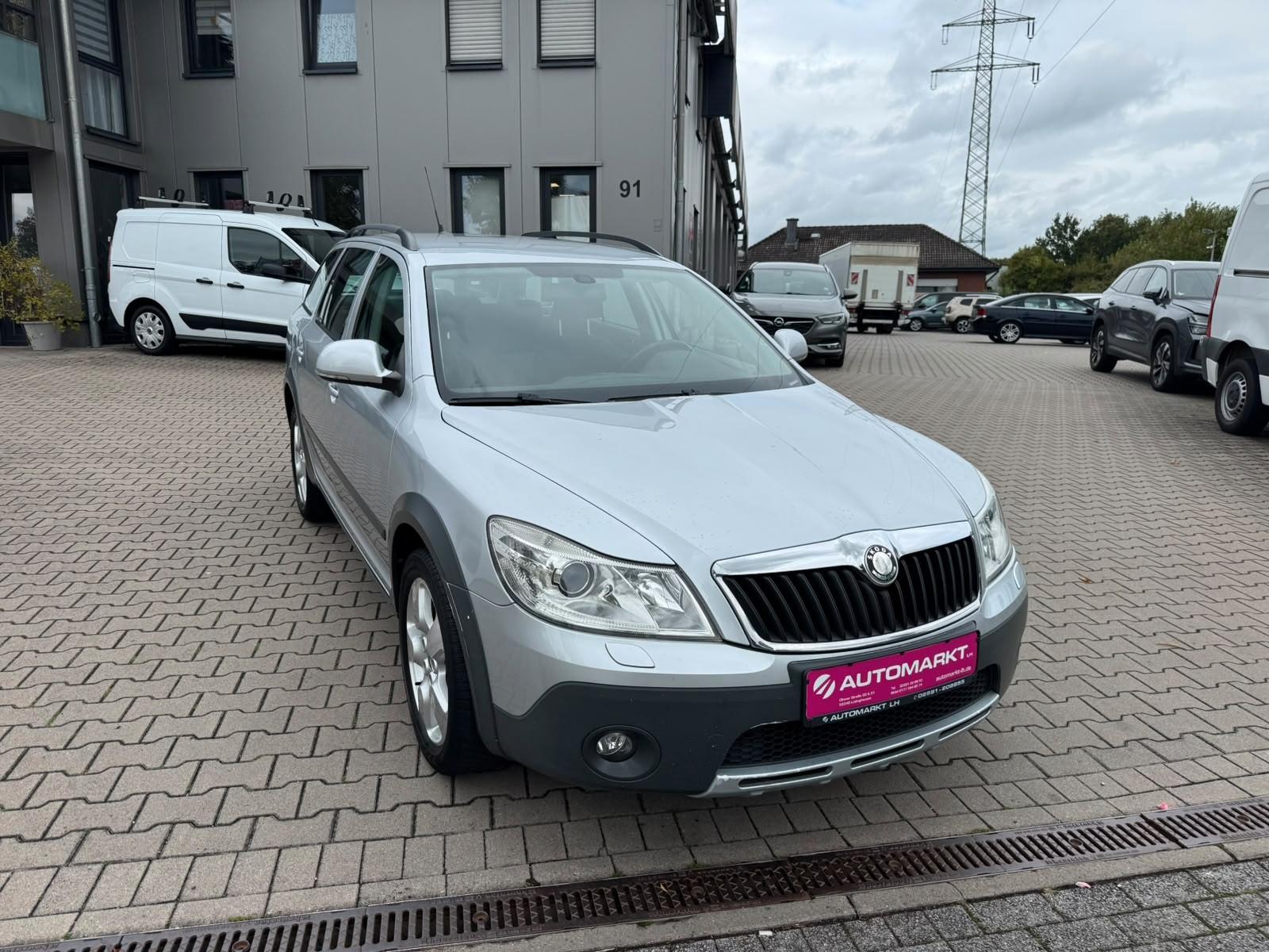 Skoda Octavia 2010 — вигляд ззаду
