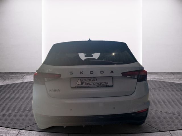 Fahrzeugabbildung SKODA Fabia 1.0 TSI Monte Carlo COLOUR CONCEPT WINTER