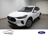Ford Kuga 1.5 Dragon Ecoboost Titanium - Ford Kuga Jahreswagen: Automatik
