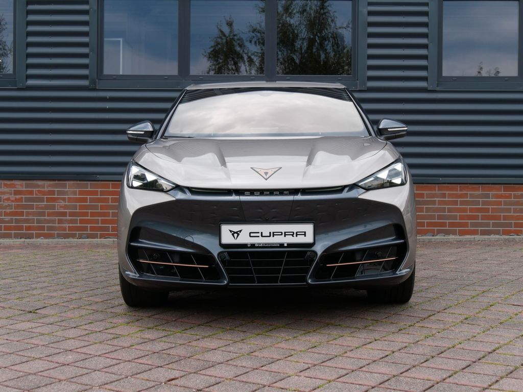 Tavascan 210 kW Endurance|Adrenaline|Below Zero