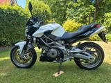 Aprilia Shiver - Angebote entsprechen deinen Suchkriterien
