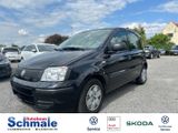 Fiat Panda 1.2 8V MyLive - Fiat Panda aus 2012