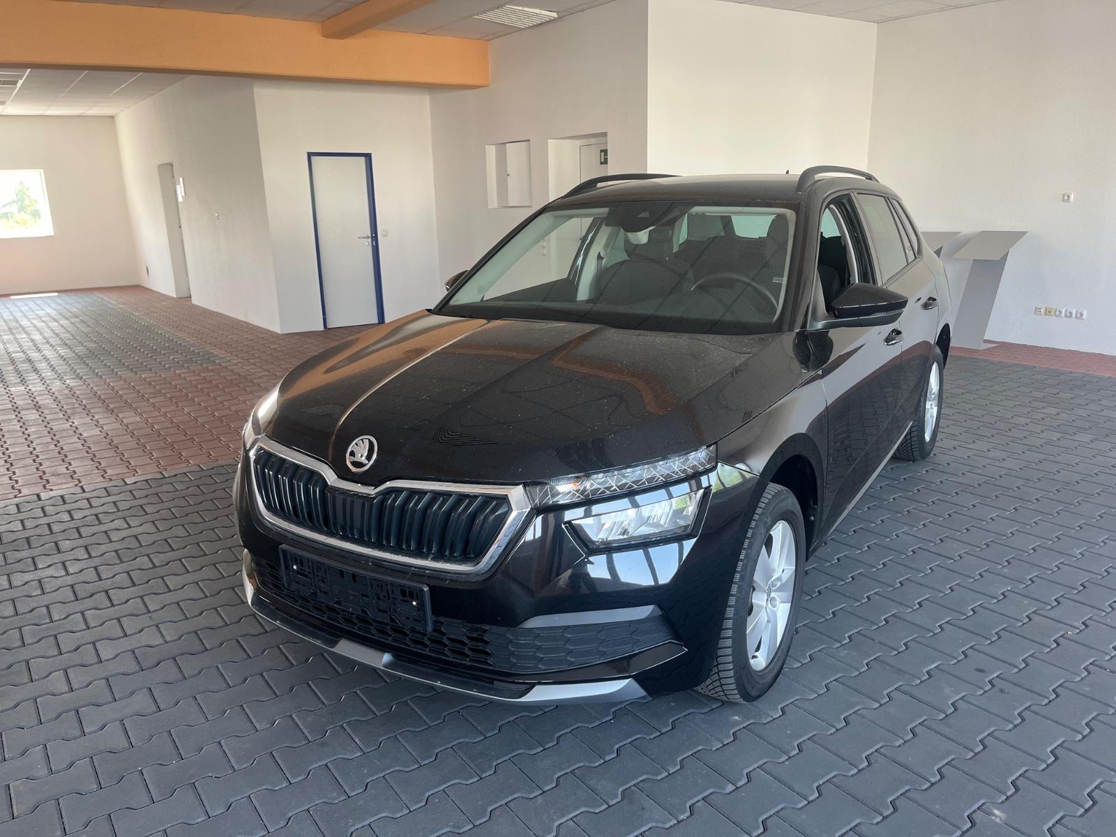 Skoda Kamiq Selection, RFK, ACC, AWR, LM