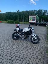 Ducati Monster 696  - DUCATI MONSTER 696