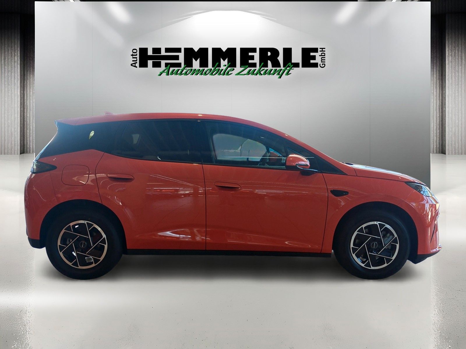 BYD DOLPHIN