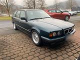 BMW 525i E34 Touring Oxfordgrün M50/M52b28... - BMW 525: Kombi, E34 525i