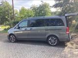 Mercedes-Benz V250 d Avantgarde Edition lang - Mercedes-Benz 250: 250d