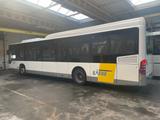 Mercedes-Benz Citaro LE KLIMA O530. 1 Hand.  (6st) - Mercedes-Benz Citaro