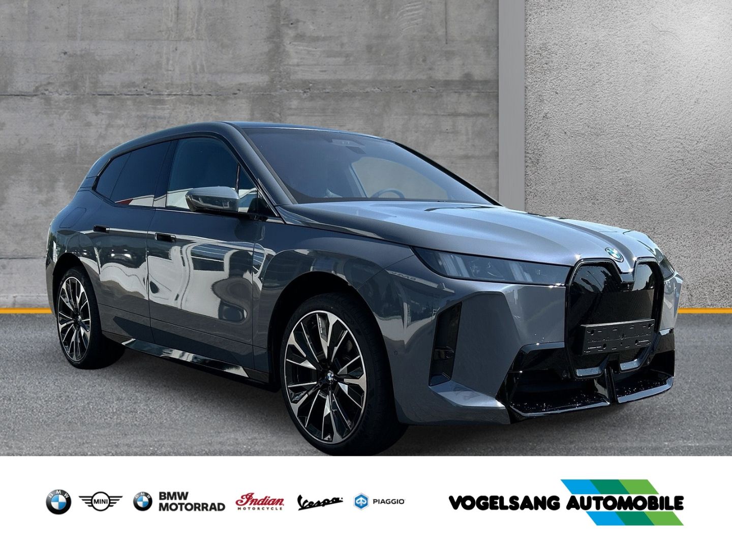 Fahrzeugabbildung BMW iX 60 M Sport Park-Assistent Sportpaket HUD Luft