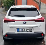 Lexus UX 250h Style Edition  - Lexus Gebrauchtwagen in Frankfurt
