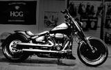 Harley-Davidson Fat Boy 114 cci Custom Bike- elektr. Auspuffanl - HARLEY-DAVIDSON BIKE
