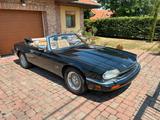 Jaguar XJS 4.0 Cabriolet - Jaguar Oldtimer: Cabrio