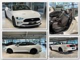 Ford Mustang GT CABRIO UNFALLFREI*PERFORMANCE*ACC*19" - Ford Mustang Gebrauchtwagen in Wuppertal