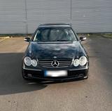 Mercedes-Benz Mercedes Benz CLK 270 CDI W209 - Mercedes-Benz CLK 270: Coupe