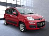 Fiat Panda Lounge Garantie/HU neu/Service neu - Fiat Panda: Rot