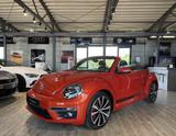 Volkswagen Beetle 2.0 TSI R-Line Cabrio*Bi-XENON* - Volkswagen Beetle: Cabrio