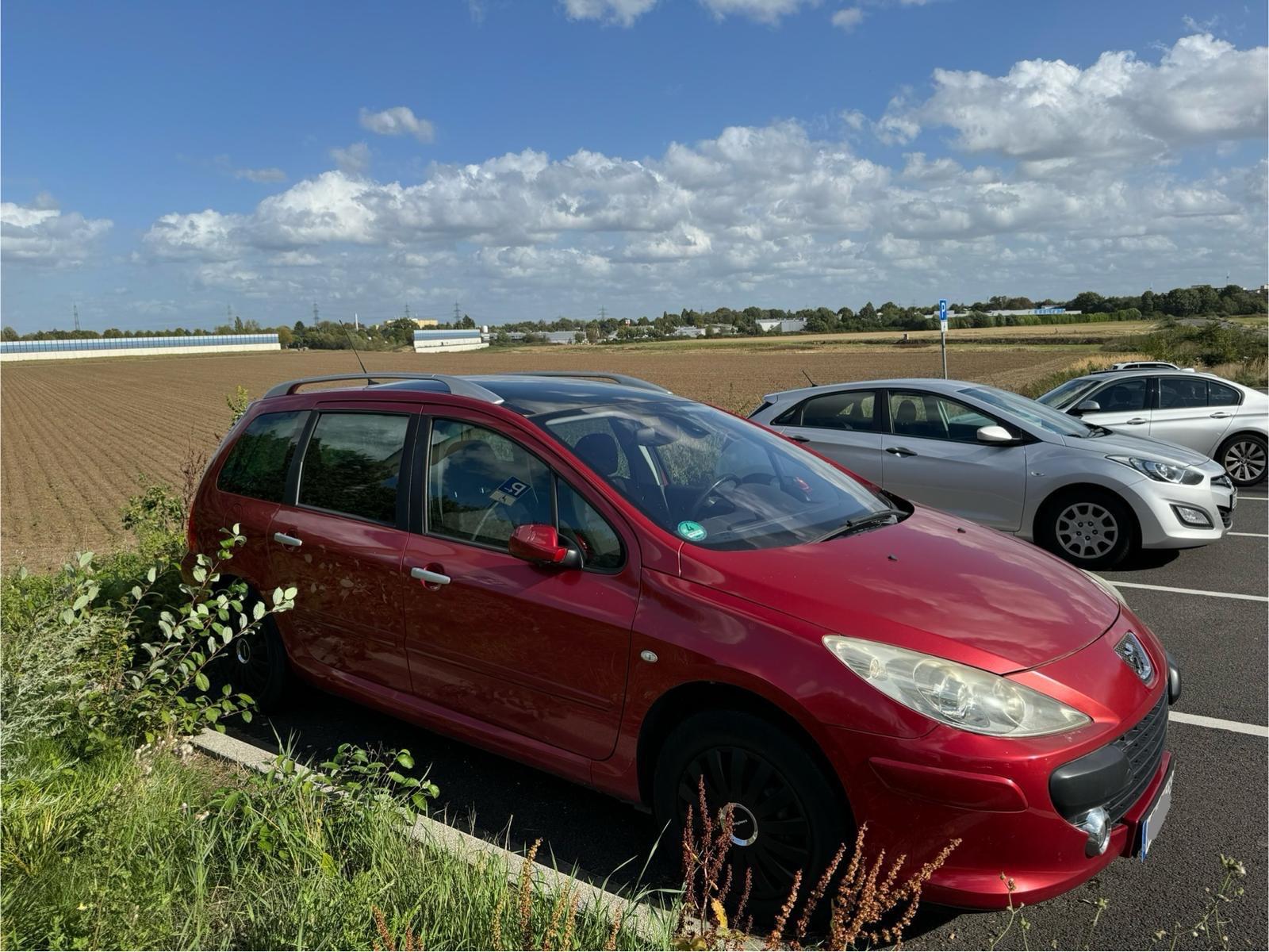 Peugeot 307 2006 — engine 1.587 cm³, 109 HP (80kW)