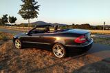 Mercedes-Benz Mercedes CLK 200 Cabrio NAVI XENON LEDER e... - Mercedes-Benz CLK 200 aus 2008
