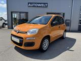 Fiat Panda Easy 1.2 PDC Klima Scheckheft ZR gew. - Fiat Panda: Easy