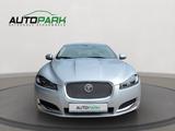 Jaguar XF 3.0 V6 Kompressor AWD | 100% Jaguar Service - Jaguar XF mit Benzin-Antrieb: Limousine