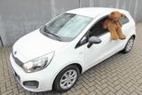 Kia Rio Business Line 1.Hand original 54.700 km! - gebrauchte Kia Rio aus dem Jahr 2013