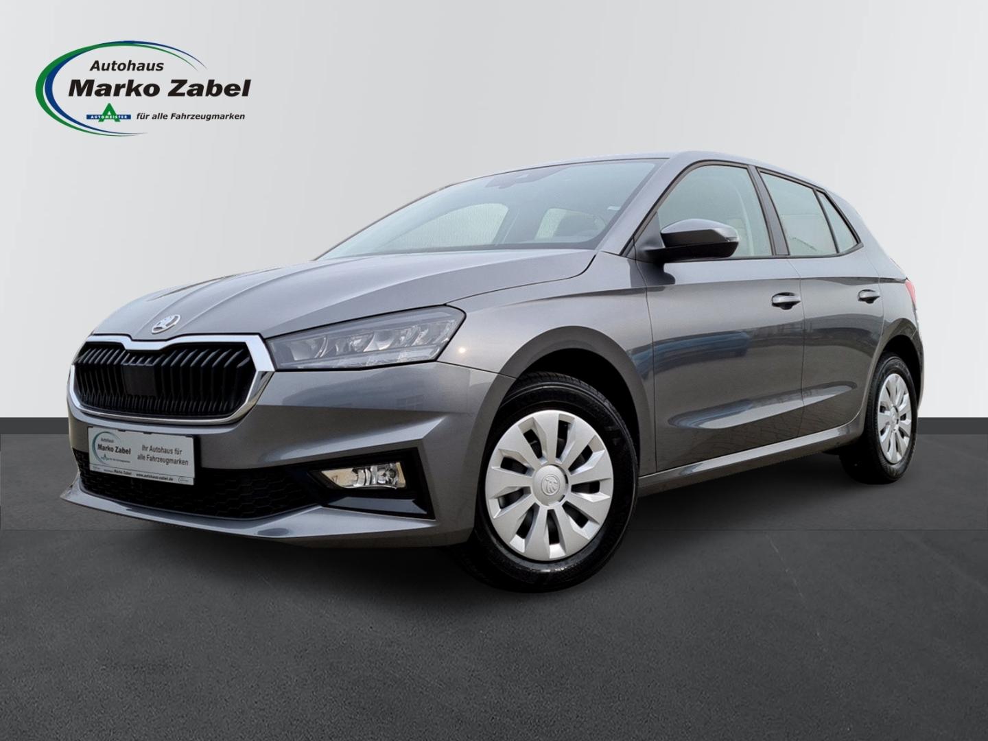 Skoda Fabia 1.0 TSI DSG 116 PS Selection LED Winterpak