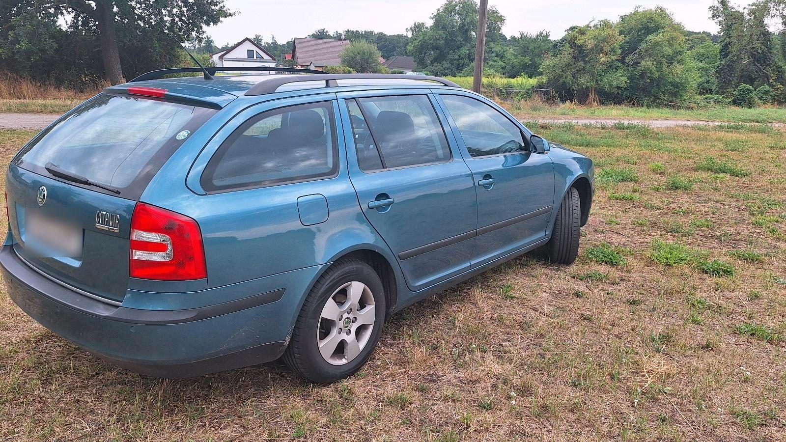 Skoda Octavia 2009 — rear view
