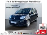 Fiat Pandina 1.0 GSE BT DAB PDC Temp Spurhalteass. Ve - Fiat New Panda Tageszulassungen