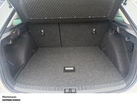 Skoda Scala - Vorschau Bild 8