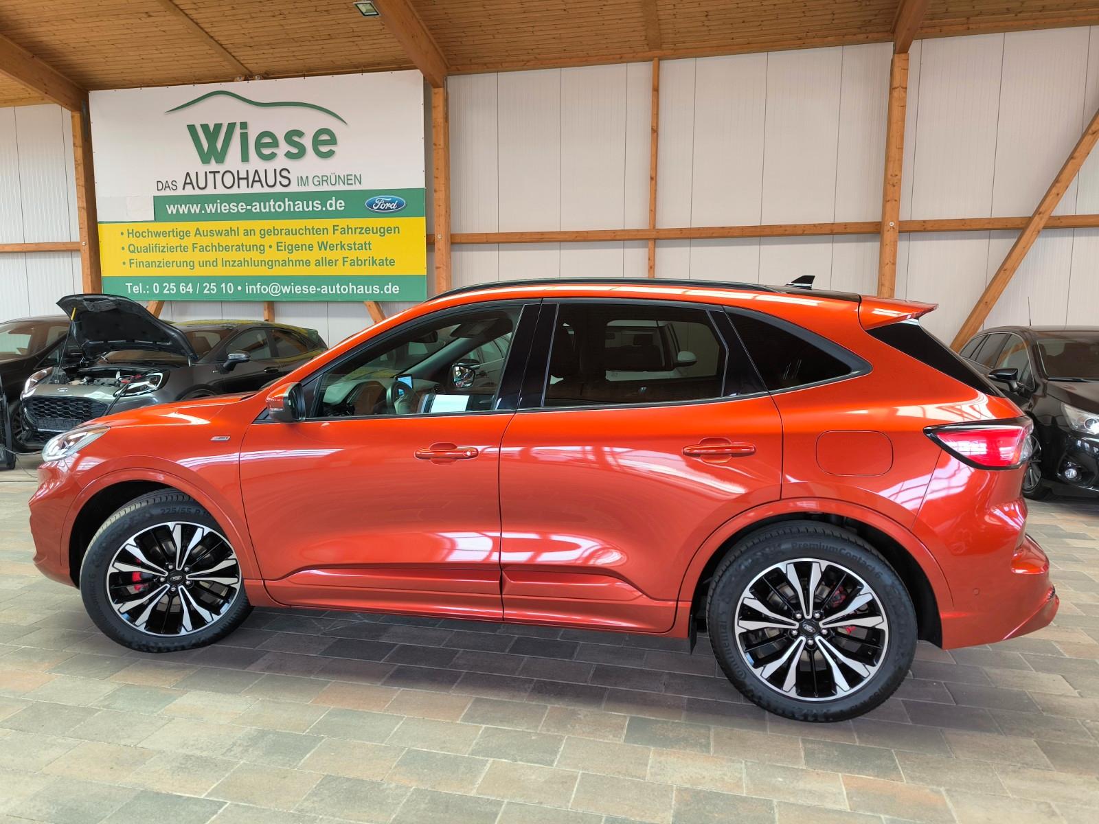 Ford Kuga 2.0 EcoBlue  ST-Line x,2xCam,Pano,AHK,IACC